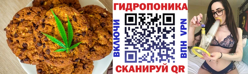 Купить  Алзамай  Canna-Cookies конопля 