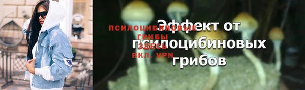 альфа пвп Куйбышев