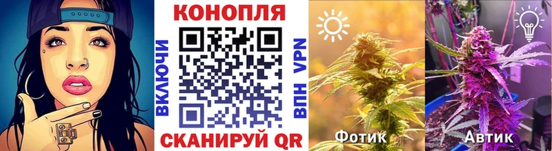 Конопля марихуана Купить закладки Алзамай